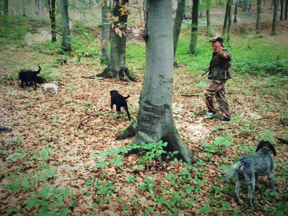 September 20, - • on the run • truffle hunting in the woods near Cund/ in Cund, Mures